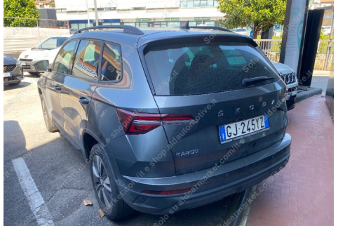 2022 Skoda Karoq, Dyzelinas